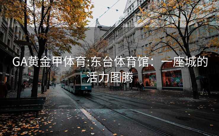 GA黄金甲体育:东台体育馆：一座城的活力图腾