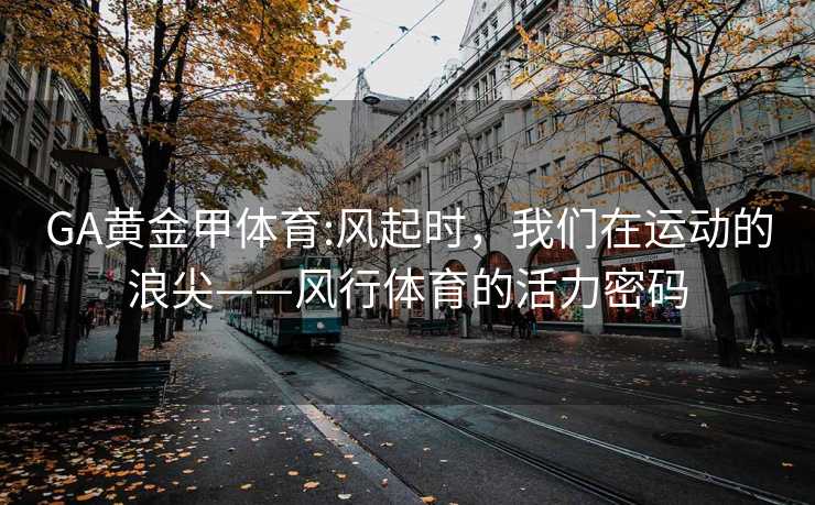GA黄金甲体育:风起时，我们在运动的浪尖——风行体育的活力密码